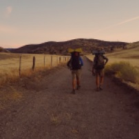 Leaving Hiker Heaven. A quarter of my PCT pictures have the back of Toto or Colonel in them. They always joked about it. Even though these sections weren't the most scenic, the days I spent with these two are some of the memories I hold onto most. I just found this picture recently and its one of my favourites I took on the PCT.